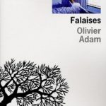 Olivier Adam - Falaises