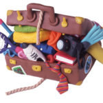 valise