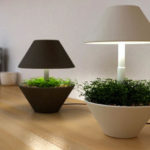 light-pot