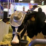 Le salon de l’agriculture