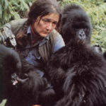 dianfossey
